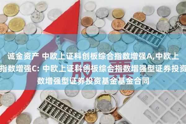诚金资产 中欧上证科创板综合指数增强A,中欧上证科创板综合指数增强C: 中欧上证科创板综合指数增强型证券投资基金基金合同