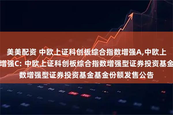 美美配资 中欧上证科创板综合指数增强A,中欧上证科创板综合指数增强C: 中欧上证科创板综合指数增强型证券投资基金基金份额发售公告
