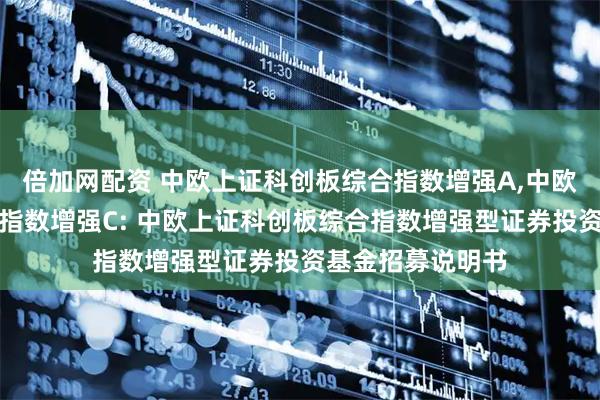 倍加网配资 中欧上证科创板综合指数增强A,中欧上证科创板综合指数增强C: 中欧上证科创板综合指数增强型证券投资基金招募说明书