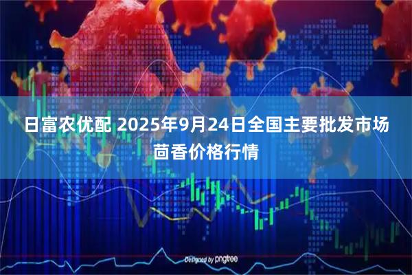 日富农优配 2025年9月24日全国主要批发市场茴香价格行情