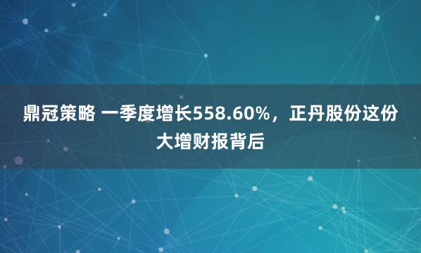 鼎冠策略 一季度增长558.60%，正丹股份这份大增财报背后