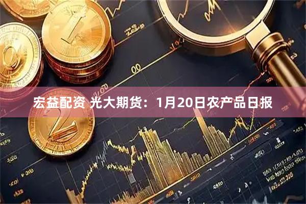 宏益配资 光大期货：1月20日农产品日报