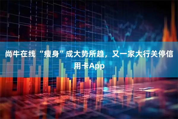 尚牛在线 “瘦身”成大势所趋，又一家大行关停信用卡App